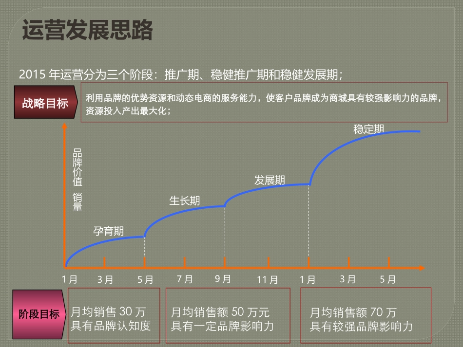 电商_代运营策划整体推广方案 (1)_第3页