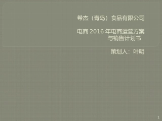 电商_代运营策划整体推广方案 (1)