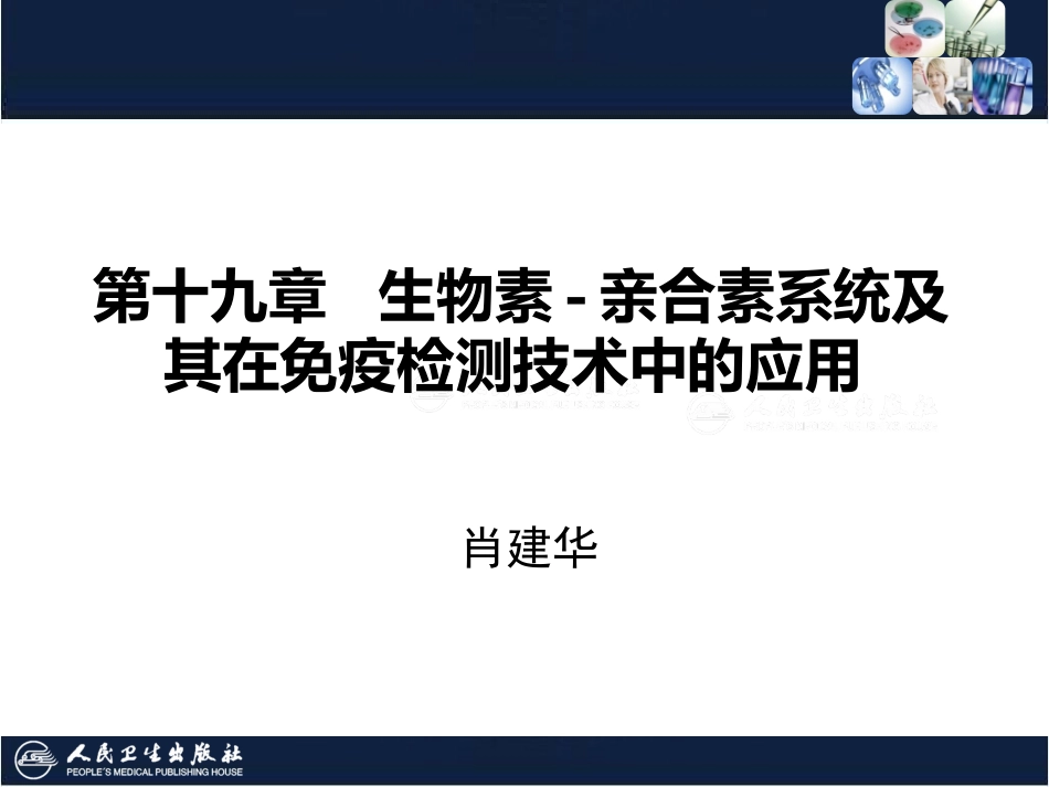 第19章   生物素-亲合素系统及其在免疫检测技术中的应用_第2页