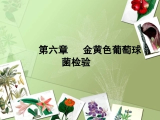 第六章_金黄色葡萄球菌的检验