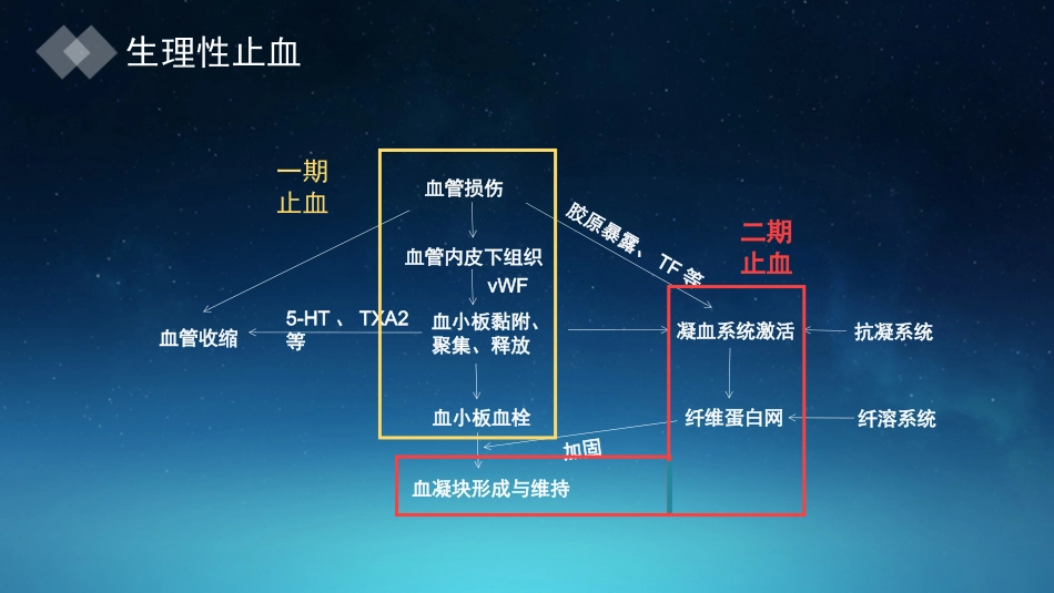 出凝血疾病的检测_第2页