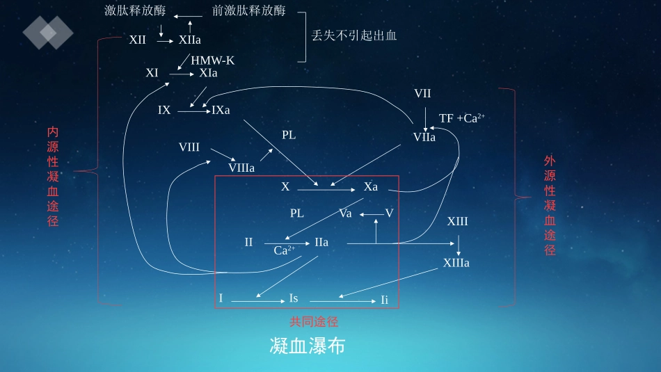 出凝血疾病的检测_第3页