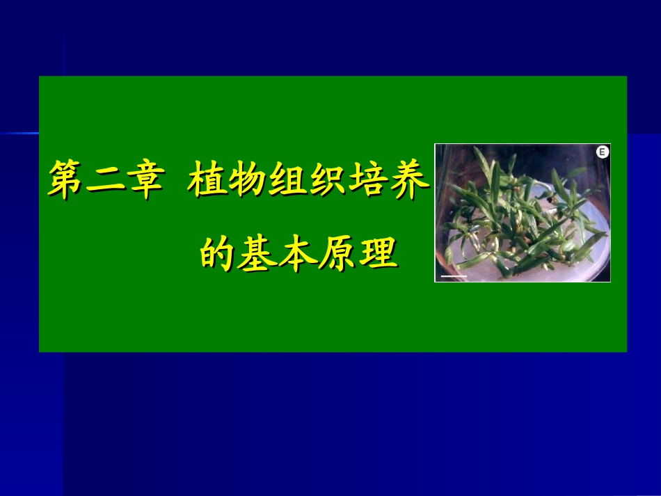 第二章 植物组织培养原理_第1页