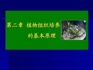 第二章 植物组织培养原理