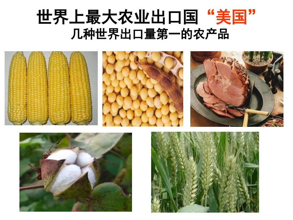 地理公开课课件 区域农业的可持续发展以美国为例_第3页