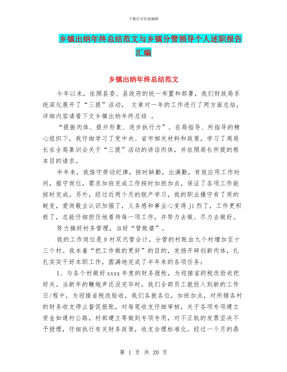乡镇出纳年终总结范文与乡镇分管领导个人述职报告汇编_第1页