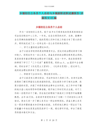 乡镇初任公务员个人总结与乡镇副职述职述廉报告(多篇范文)汇编