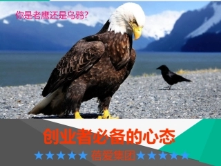 创业者必备的心态