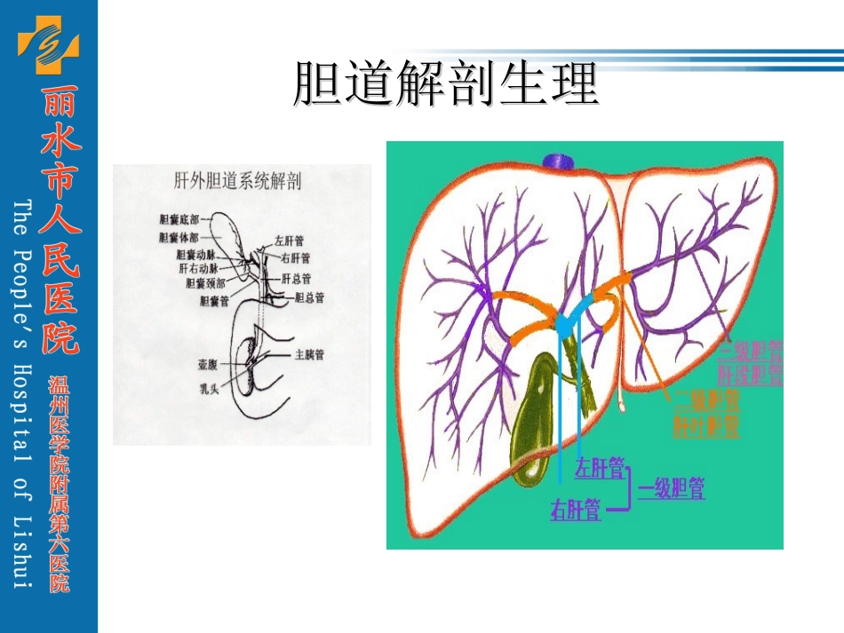 胆囊结石及其防治._第2页