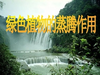 第二节   绿色植物的蒸腾作用(公开课)