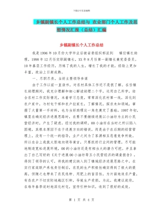 乡镇副镇长个人工作总结与