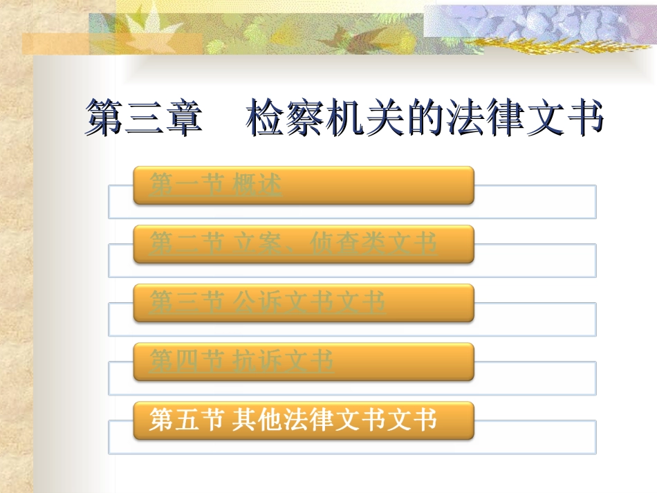 第三章 检察机关的法律文书_第2页