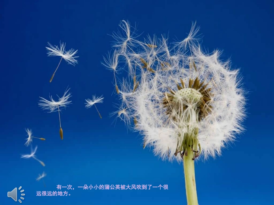 大一班语言活动《月亮船〉_第2页