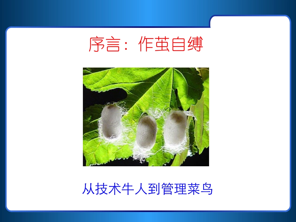 从技术走向管理(原创)_第2页