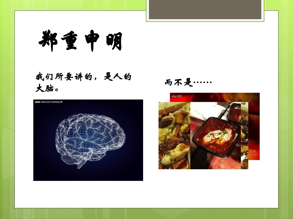 大脑的结构与功能_第2页