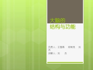 大脑的结构与功能