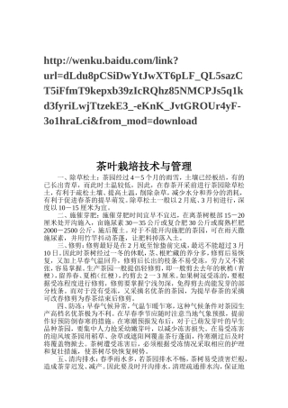 茶叶栽培技术