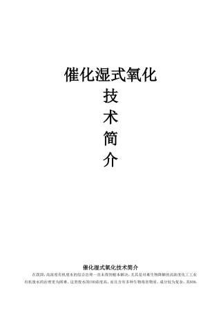 催化湿式氧化技术简介