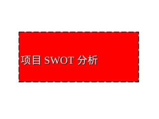 地产经典项目SWOT分析
