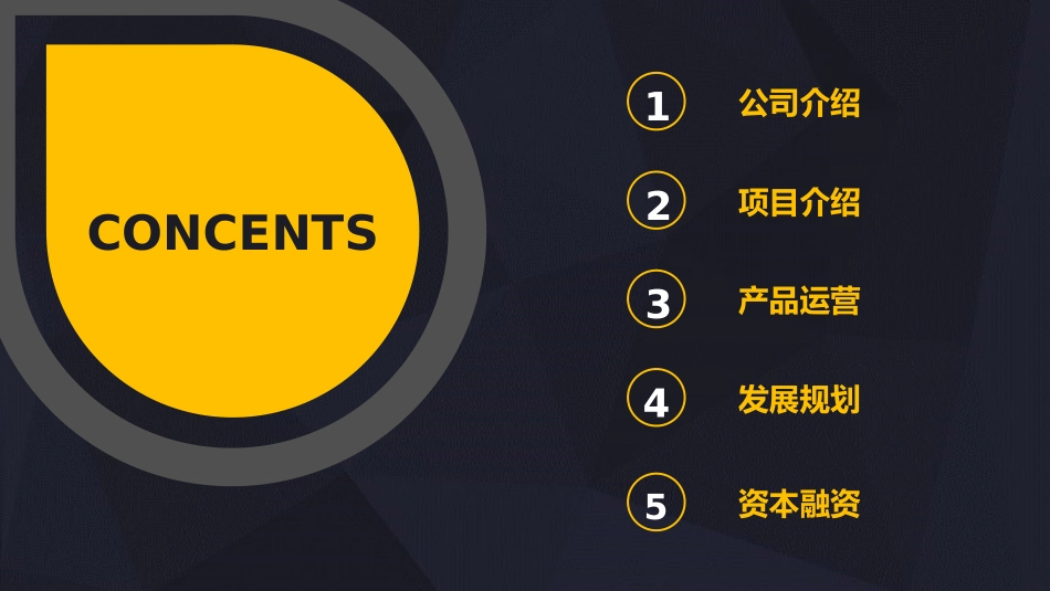 大气简约招商商业计划书PPT模板_第2页