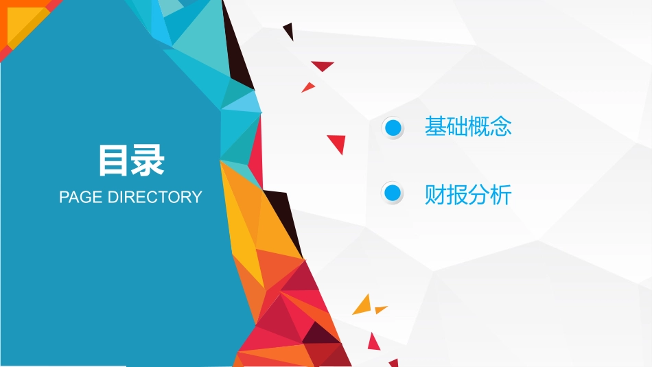 财务报表基础_第2页