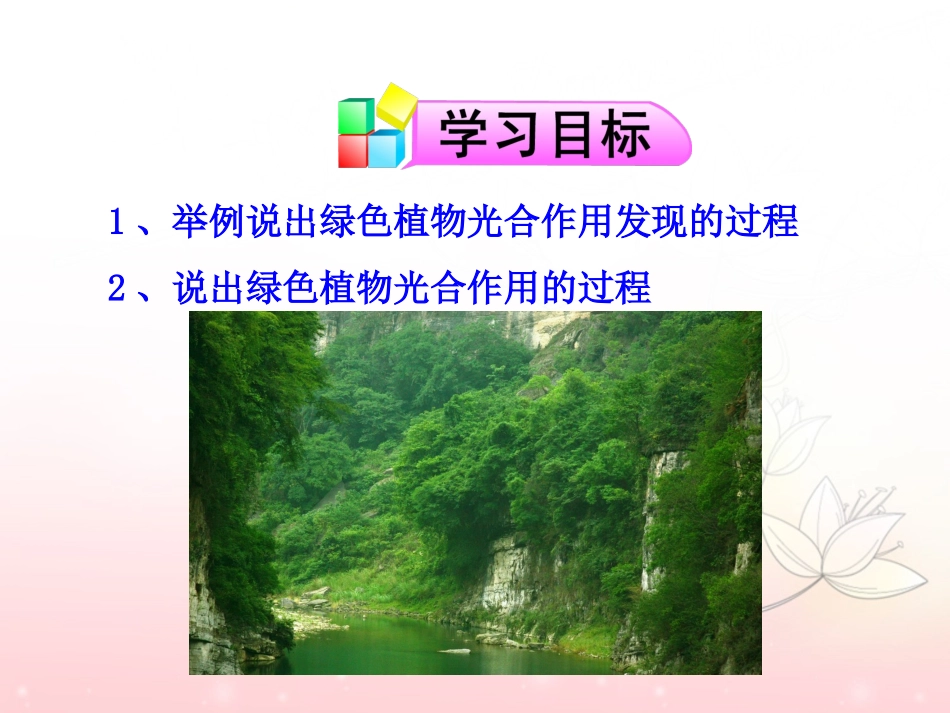 第一节 植物光合作用的发现 课件_第3页