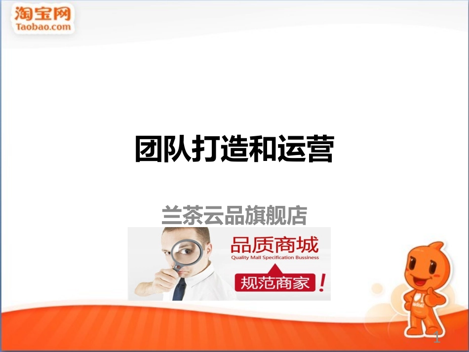 电商运营方案_第1页