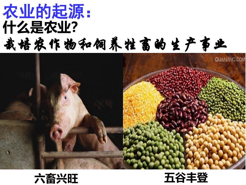 第2课原始农耕生活.ppt_第2页