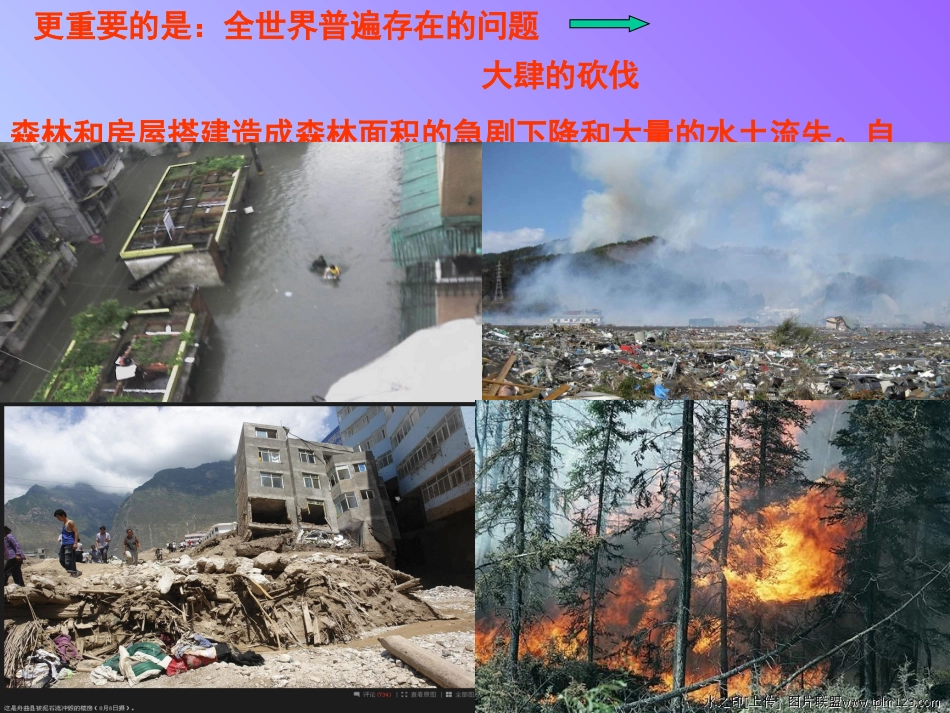 创建森林城市_第3页