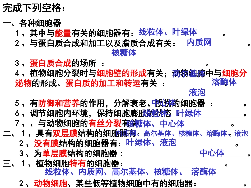 蛋白质的合成与运输_第2页