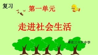 第一单元 走进社会生活   复习