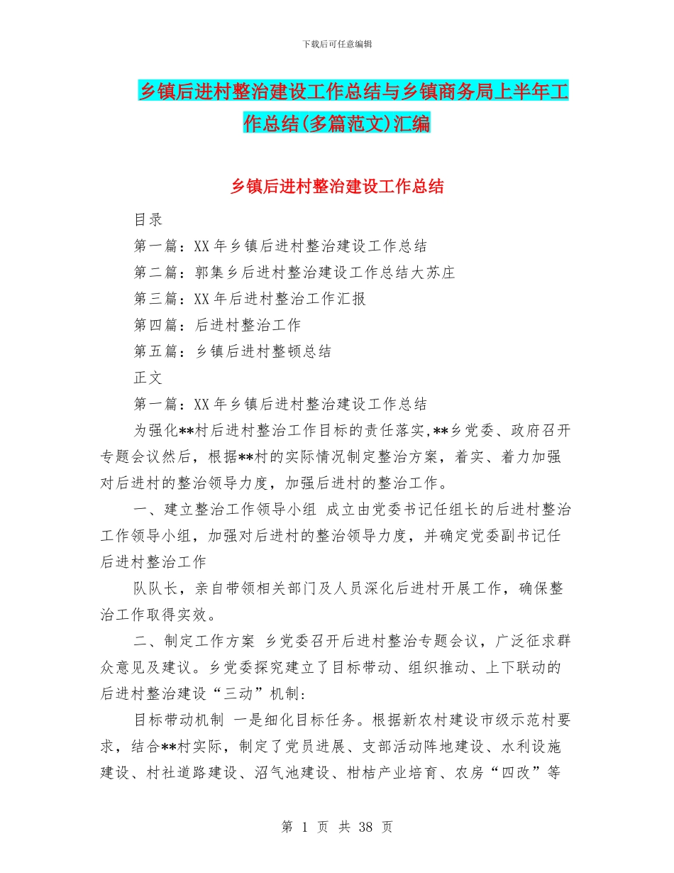 乡镇后进村整治建设工作总结与乡镇商务局上半年工作总结汇编_第1页