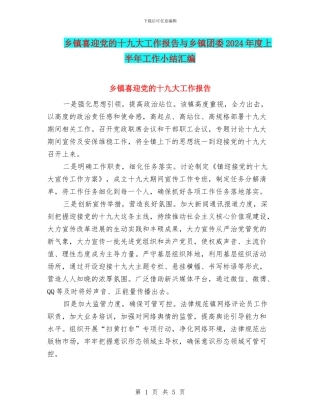 乡镇喜迎党的十九大工作报告与乡镇团委2024年度上半年工作小结汇编