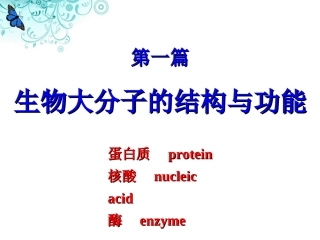 蛋白质的结构与功能
