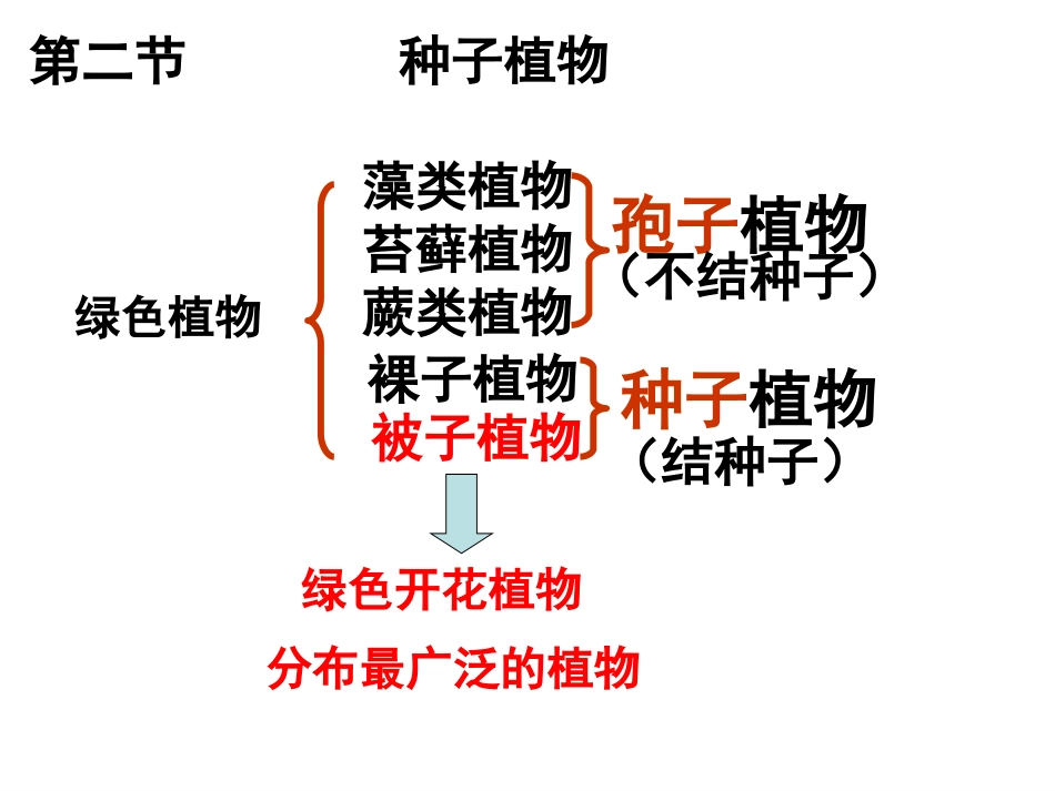 初中生物总复习 植物_第3页
