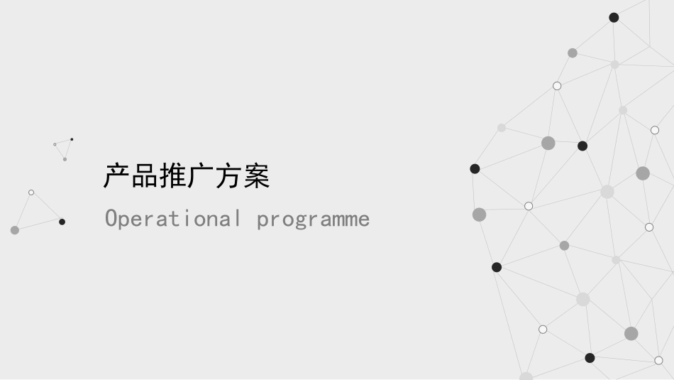 产品推广方案_第1页