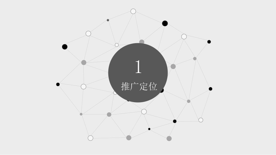 产品推广方案_第3页