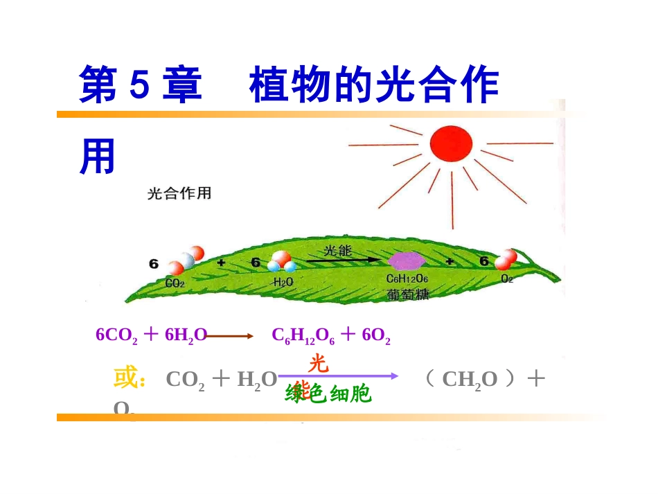 第5章 植物的光合作用作用--进展、叶绿体、色素1_第1页
