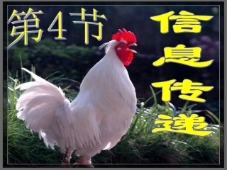 第四节 生态系统的信息传递