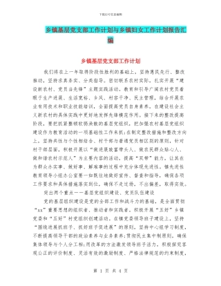 乡镇基层党支部工作计划与乡镇妇女工作计划报告汇编