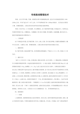 冬桃栽培管理技术