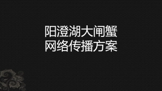 大闸蟹网络推广方案