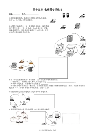 第十五章 电路图专项练习 (2)