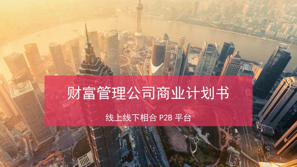 财富管理公司商业计划书_第1页