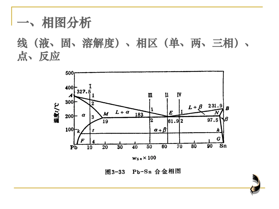 第三章5 共晶相图_第2页