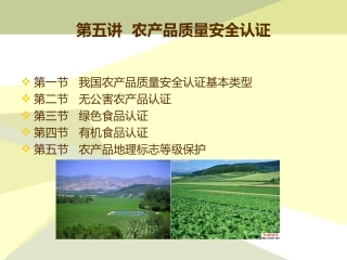 第五章农产品质量安全认证