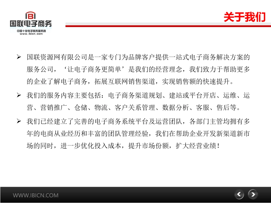 电商运营方案服务流程_第2页