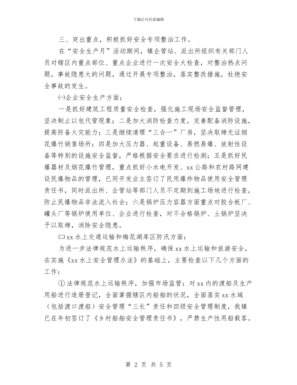 乡镇安全生产半年工作小结与乡镇安全生产百日督查专项行动工作总结汇编_第2页