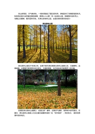 层林尽染处,赏秋正当时