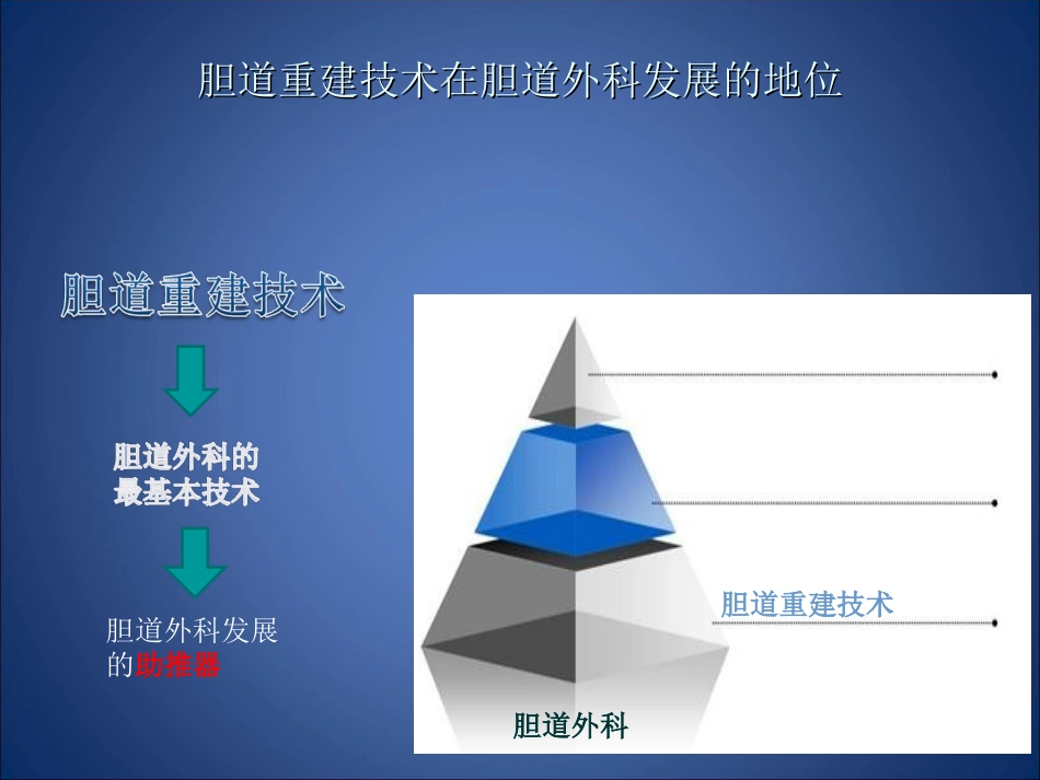 胆道重建技术_第2页
